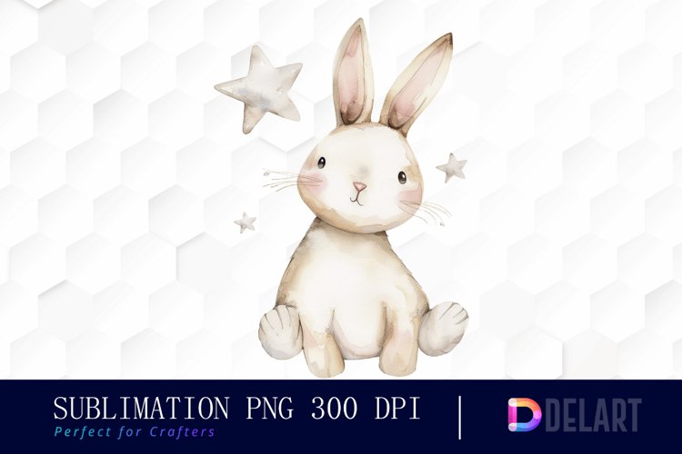 Easter Bunny Illustration Image 17