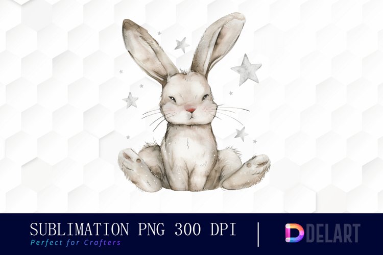 Easter Bunny Illustration Image 2