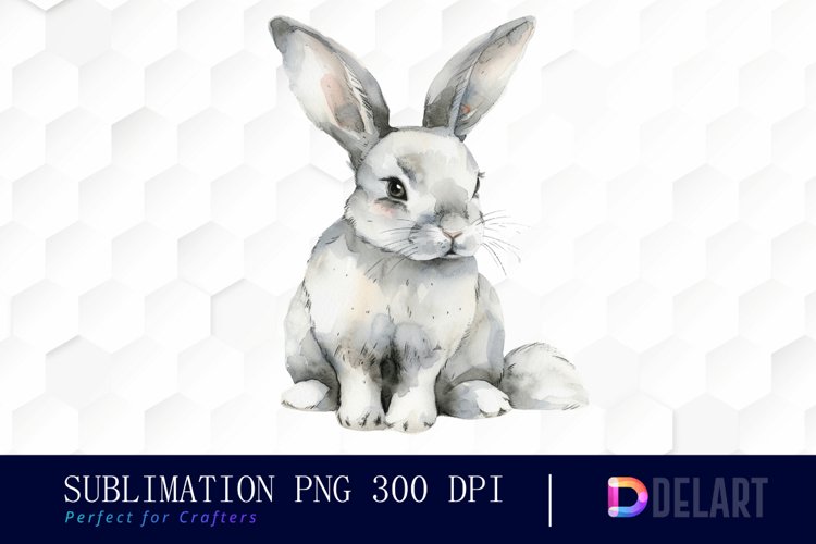Easter Bunny Illustration Image 2
