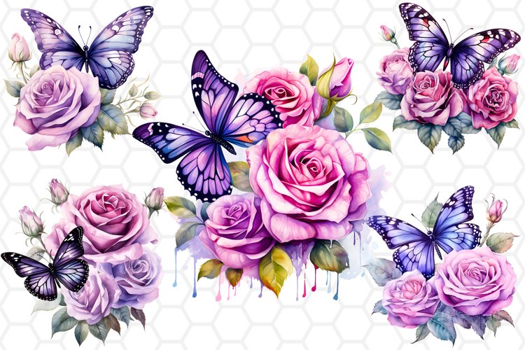 Rose PNG Image 21
