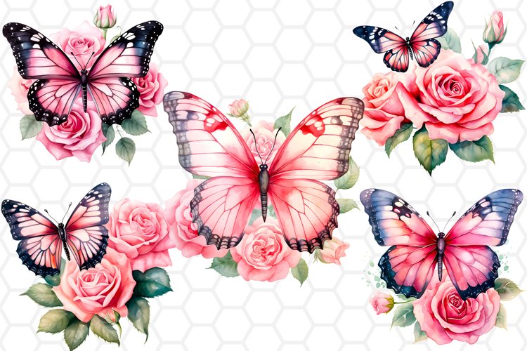 Rose PNG Image 20