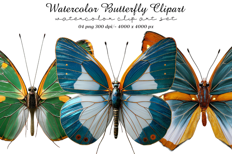 Watercolor Butterfly Clipart