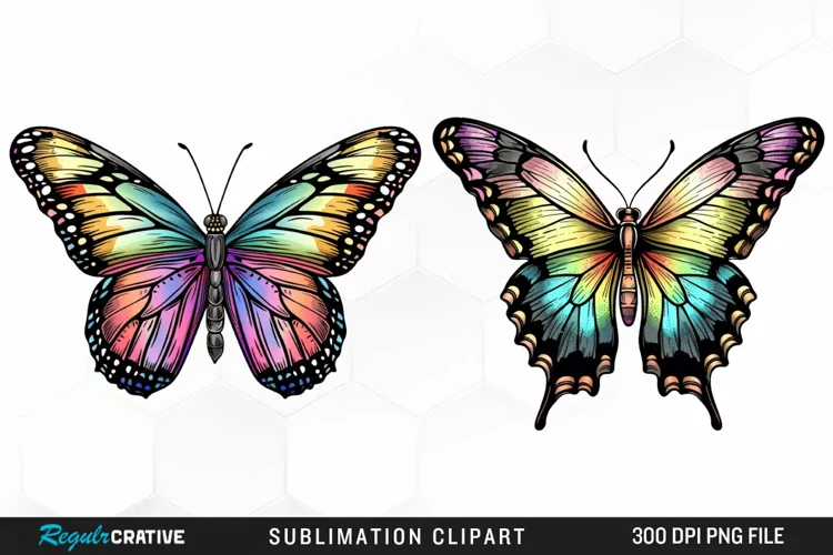 Watercolor Butterfly Illustration Clipart