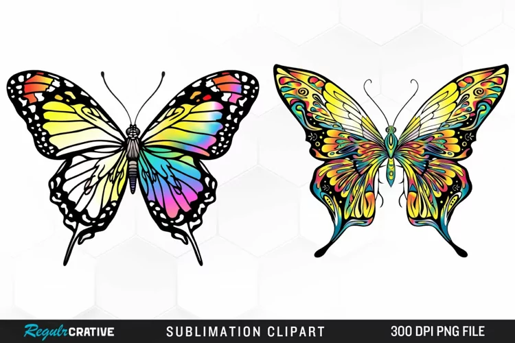 Watercolor Butterfly Illustration Clipart