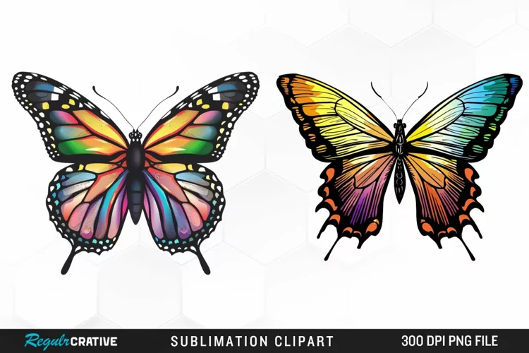 Watercolor Butterfly Illustration Clipart