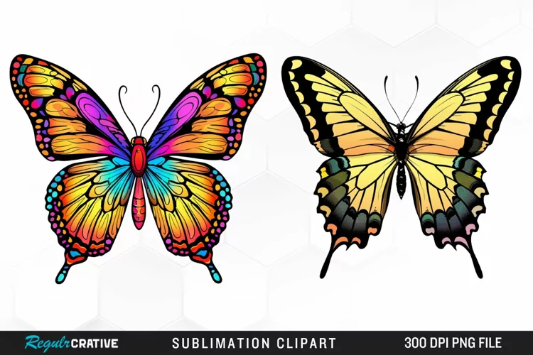 Watercolor Butterfly Illustration Clipart