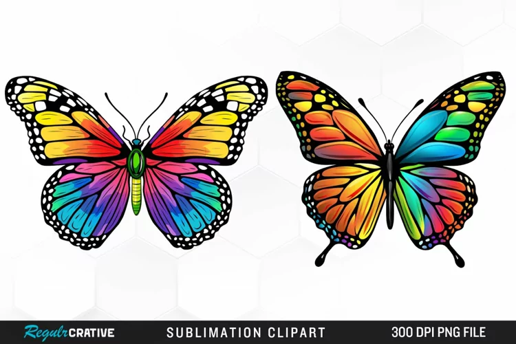 Watercolor Butterfly Illustration Clipart