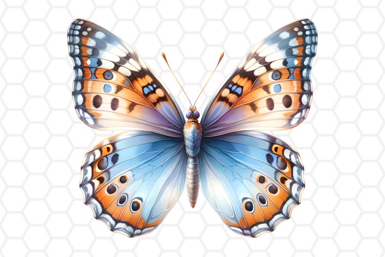 Cute Butterfly Clipart Image 11