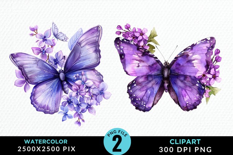 Butterflies Graphic Image 22