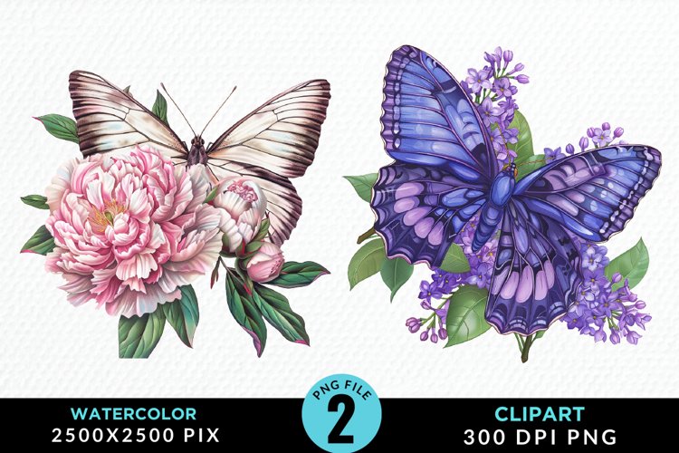 Watercolor Butterfly Flowers PNG Set Clipart