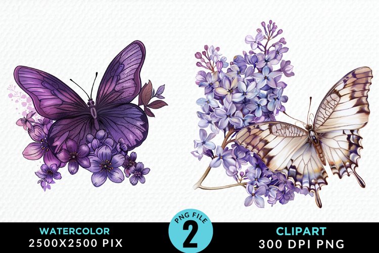 Butterflies Graphic Image 13