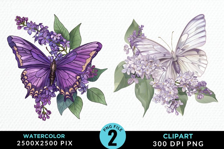 Butterflies Graphic Image 8