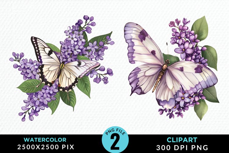 Butterflies Graphic Image 20