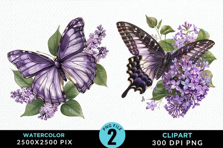Butterflies Graphic Image 11