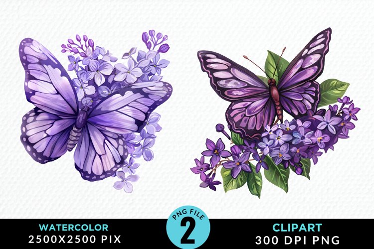 Butterflies Graphic Image 17