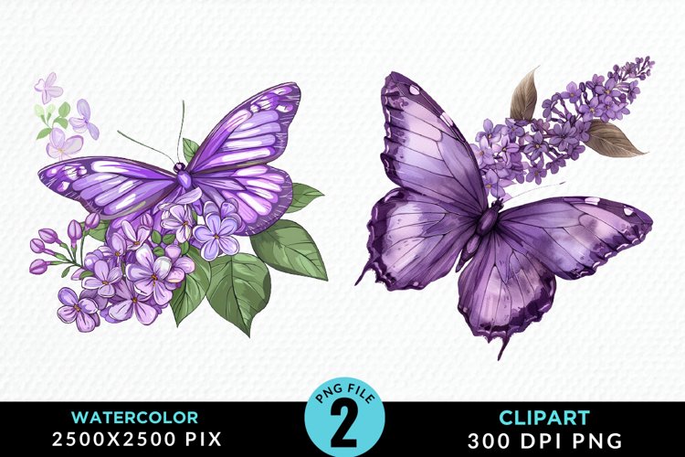 Butterflies Graphic Image 18