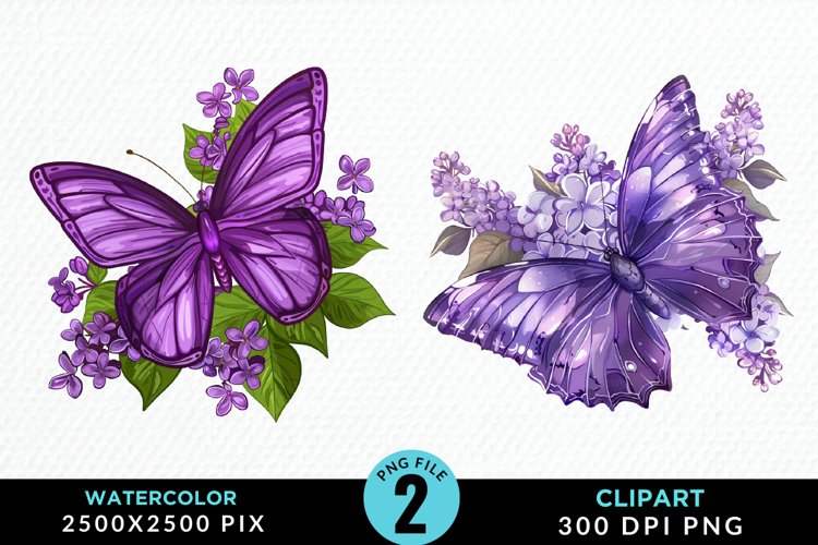 Butterflies Graphic Image 12