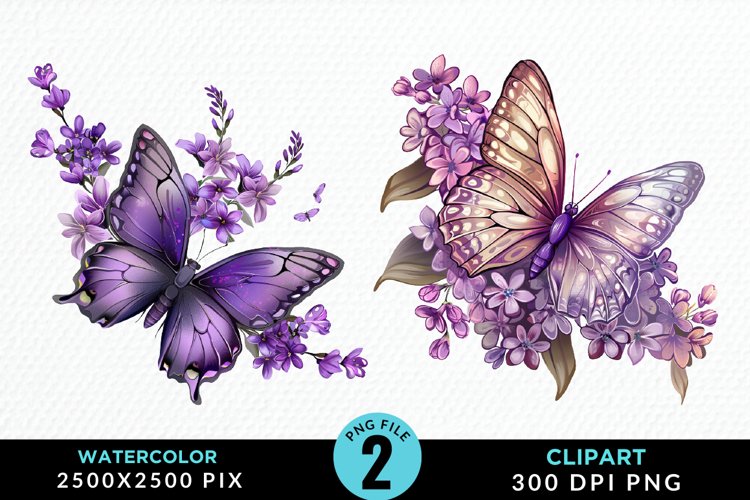 Butterflies Graphic Image 21