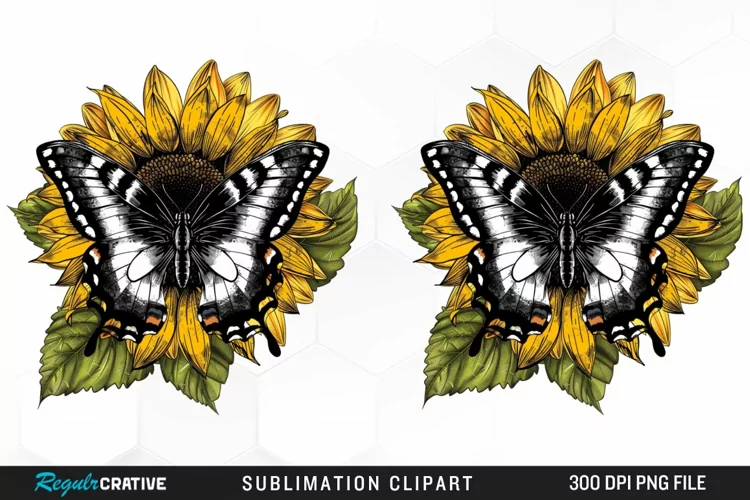 Watercolor Butterfly Sunflower Art Clipart