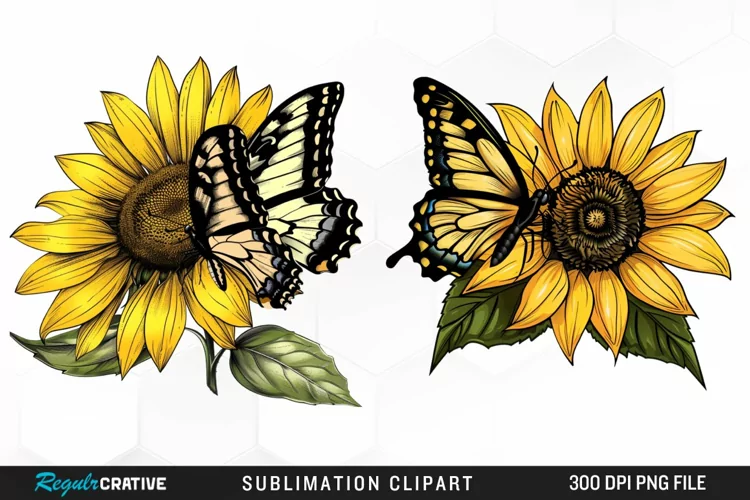 Watercolor Butterfly Sunflower PNG Clipart