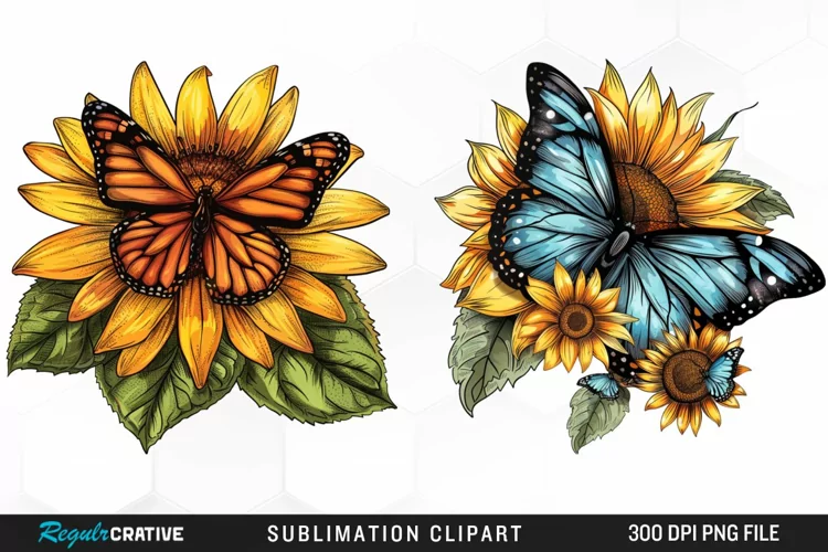 Watercolor Butterfly Sunflower Art Clipart