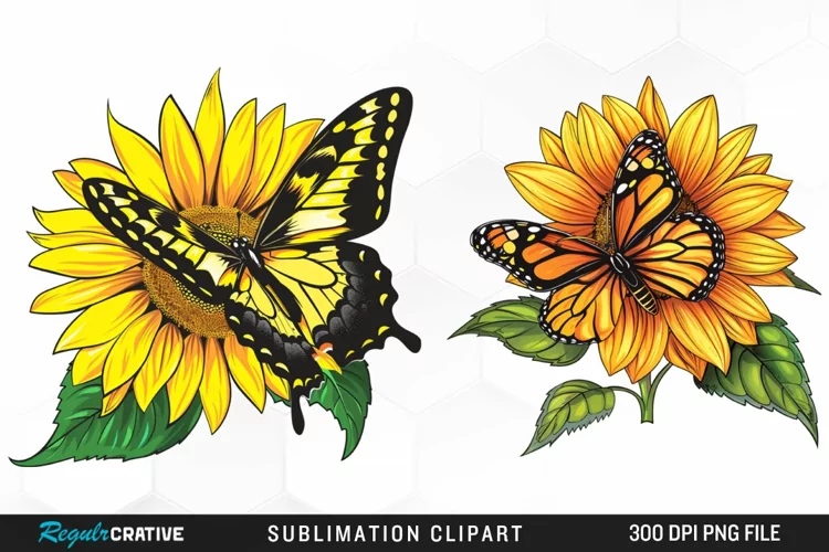 Watercolor Butterfly Sunflower PNG Clipart