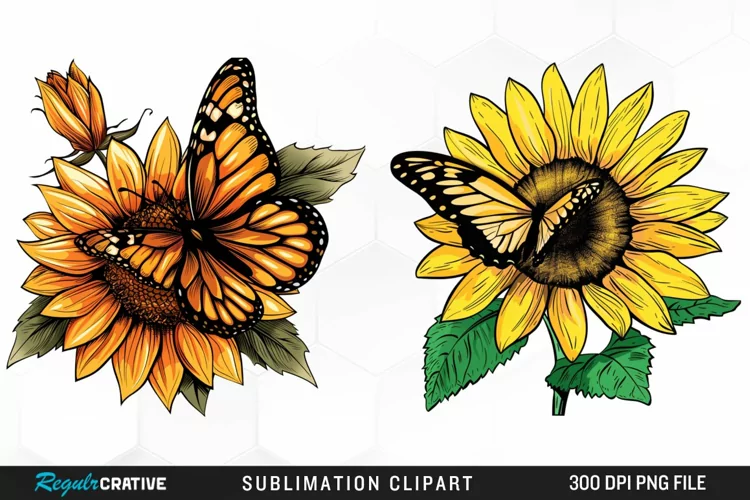 Watercolor Butterfly Sunflower Art Clipart