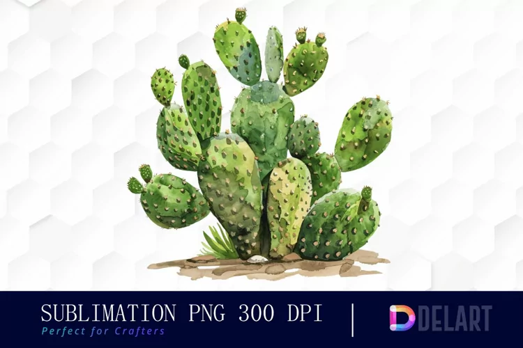 Cactus Watercolor Clipart