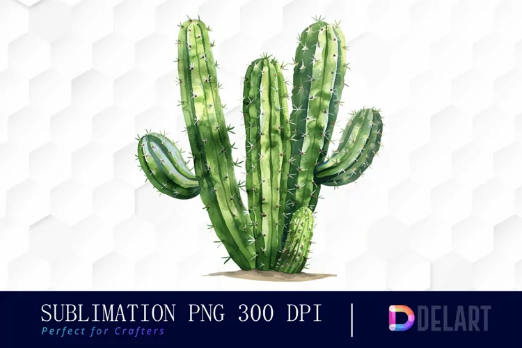 Cactus Graphics Clipart