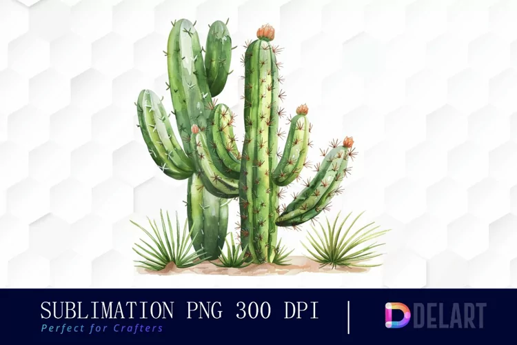 Cactus Watercolor Clipart