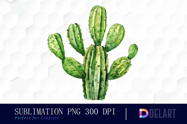 Cactus Graphics Clipart