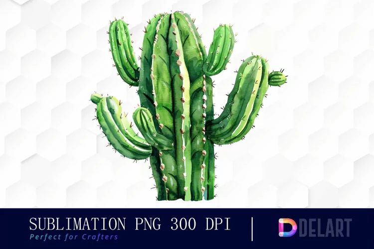 Cactus Graphics Clipart