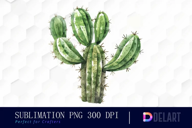 Cactus Graphics Clipart
