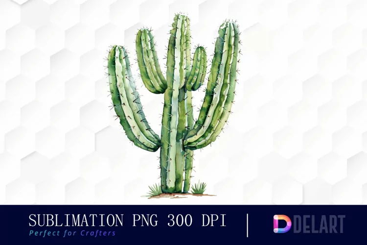 Cactus Graphics Clipart