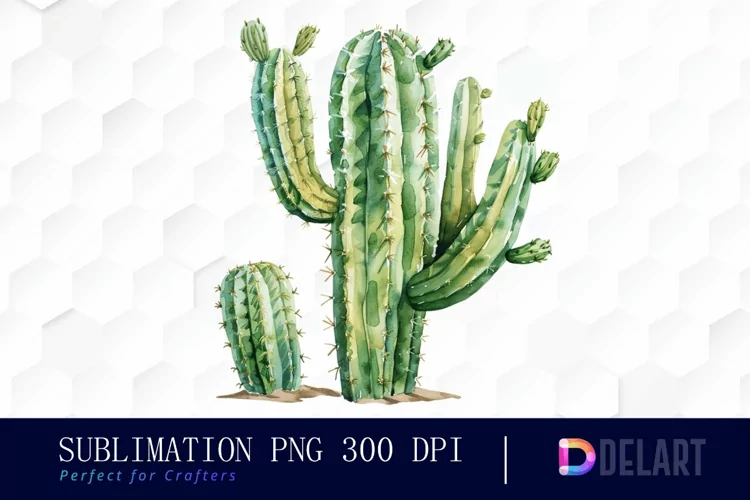 Cactus Illustration Clipart