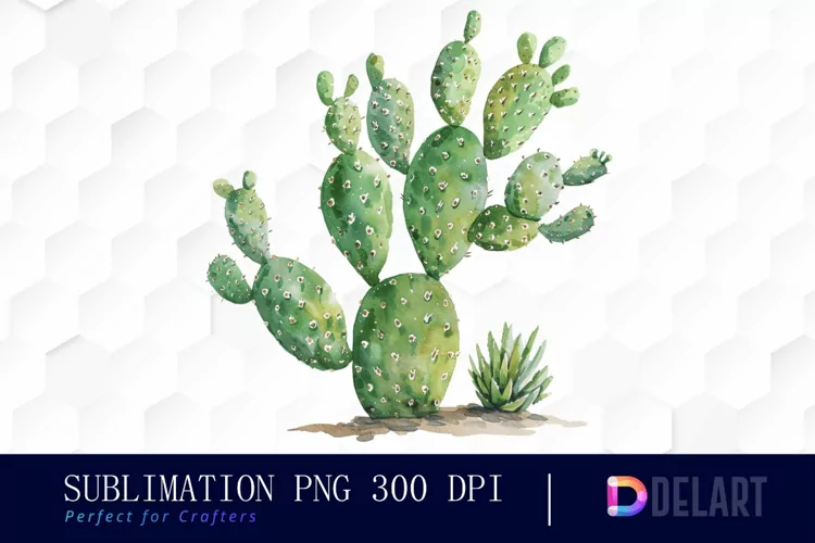 Cactus Watercolor Clipart