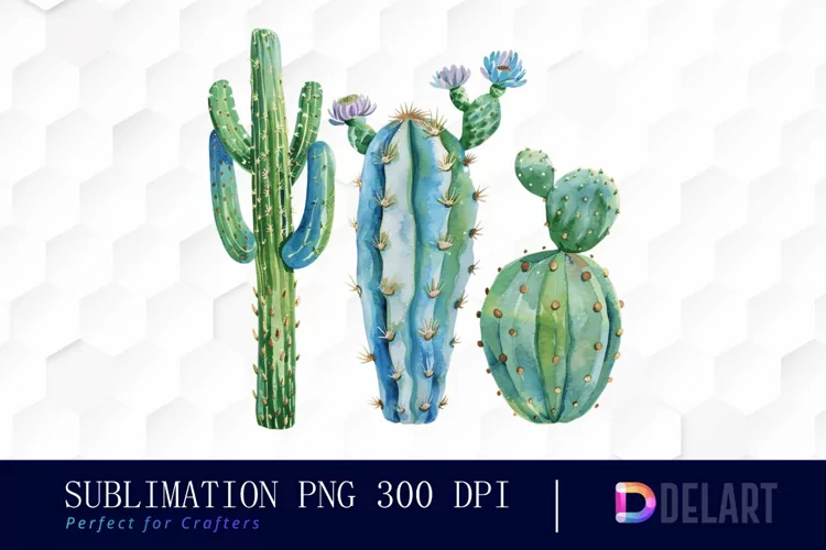 Cactus Graphics Clipart