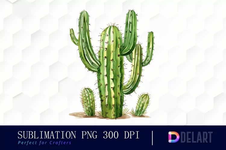 Cactus Graphics Clipart