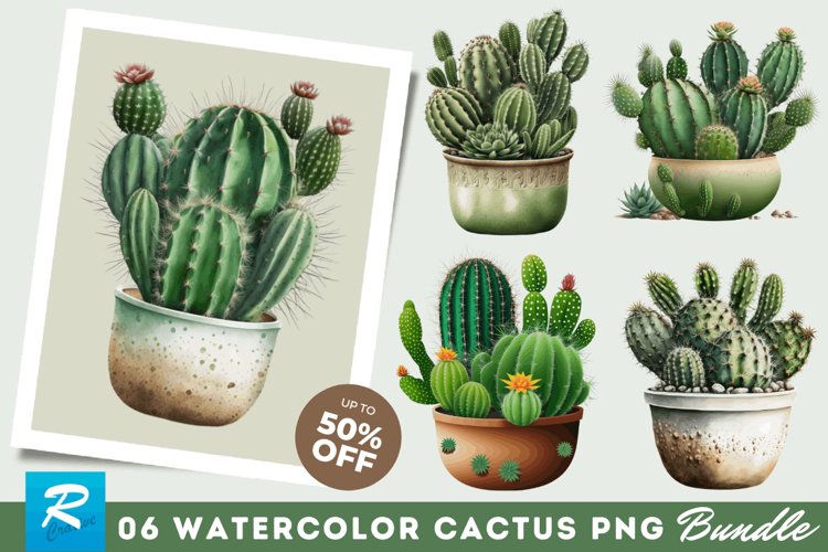 Watercolor Cactus Clipart Image 20