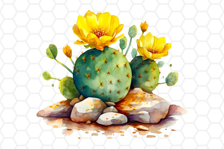 Cactus Png Image 17