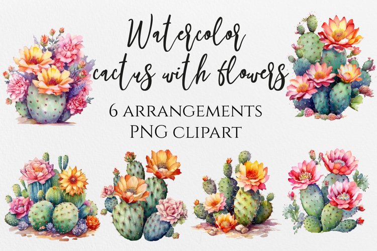 Cactus Png Image 11