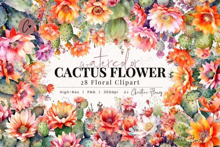 Watercolor Cactus Flower Clipart