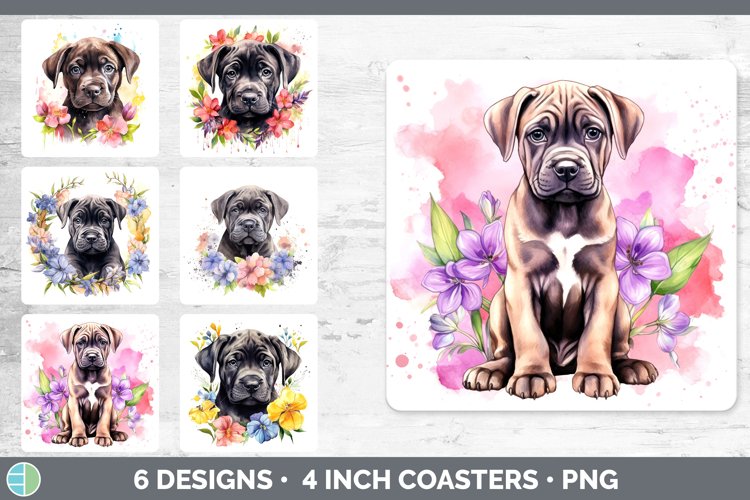 Bundle of six Wild Flowers Cane Corsos Square Coaster designs.