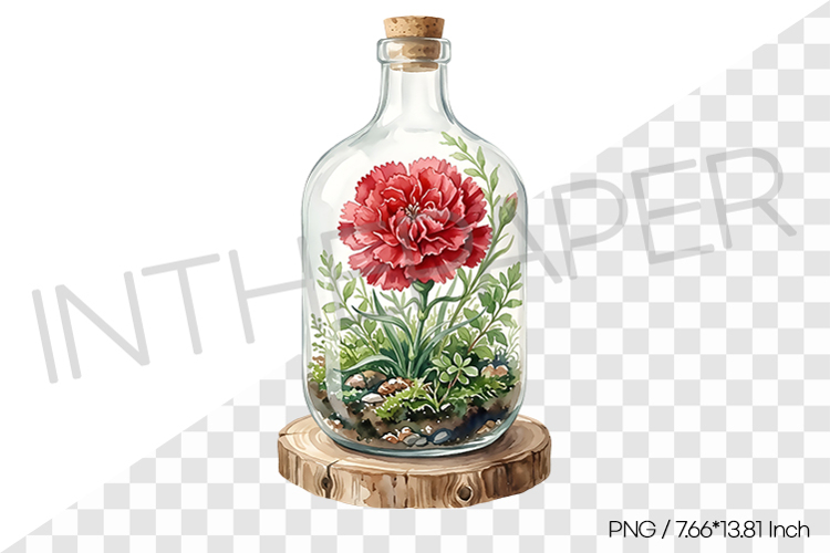 Red Carnation Glass Terrarium PNG Clipart Flower Watercolor