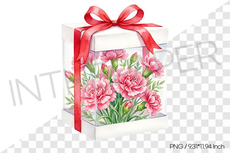 Pink Carnations in Clear Gift Box PNG Clipart Flower Illust
