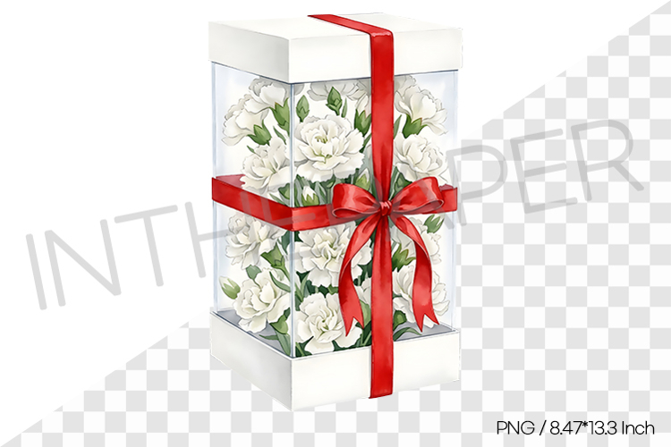 White Carnations in Clear Gift Box PNG Clipart Flower Illust