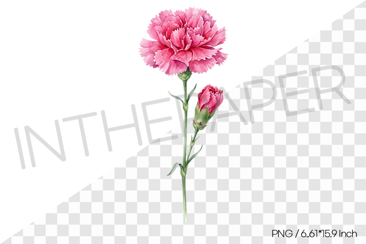Realistic Flower Clipart Image 5