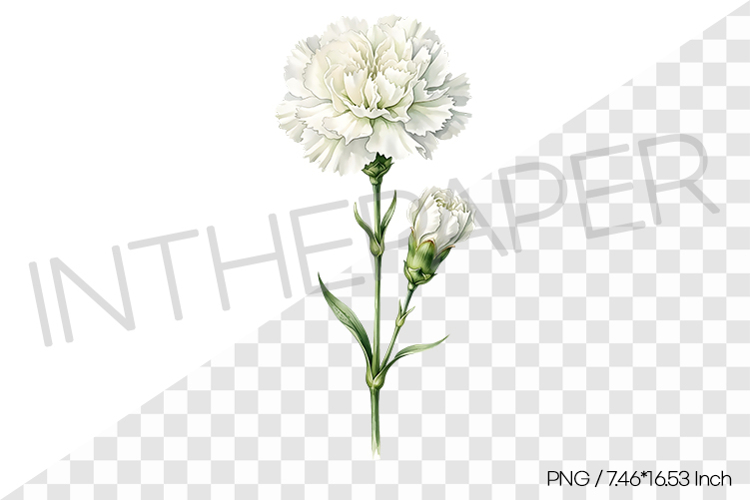 Realistic Flower Clipart Image 4