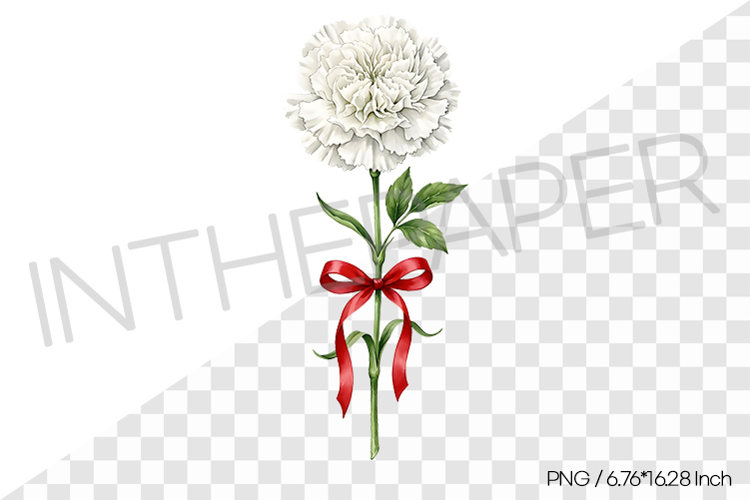 White Carnation with Red Ribbon PNG Clipart Flower Illust