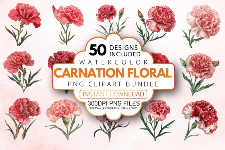 Carnation Illustration Image 11